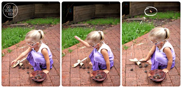 Playing with the DIY catapult in the backyard - preschool physics fun for kids
