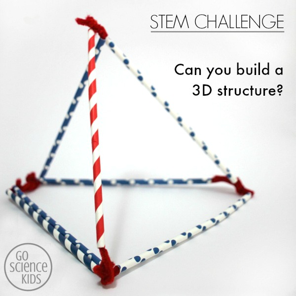 3D structure STEM challenge