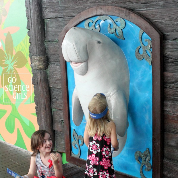 Visiting Sea Life Sydney Aquarium with Kids – Go Science Kids
