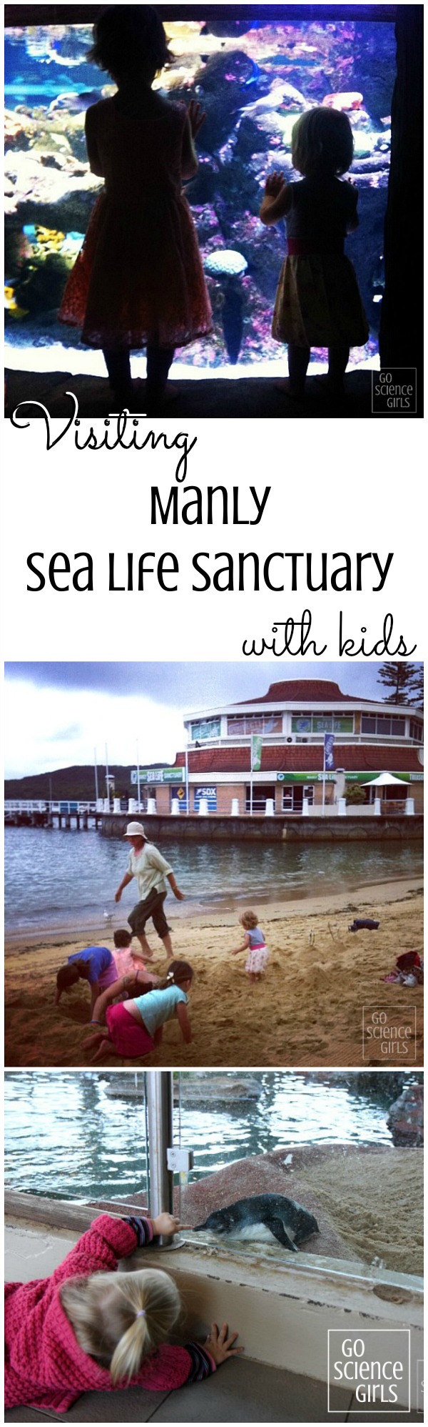 Visiting Manly Sea Life Sanctuary with kids - a review by Go Science Kids