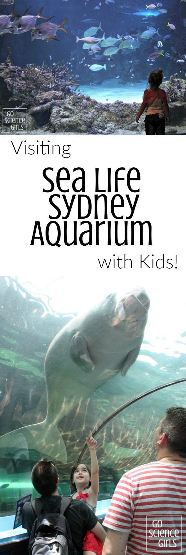 Visiting Sea Life Sydney Aquarium with little kids - how to book, what to expect, how to make the most of your adventure - and the fun science you can experience on the way. A review by Go Science Kids.