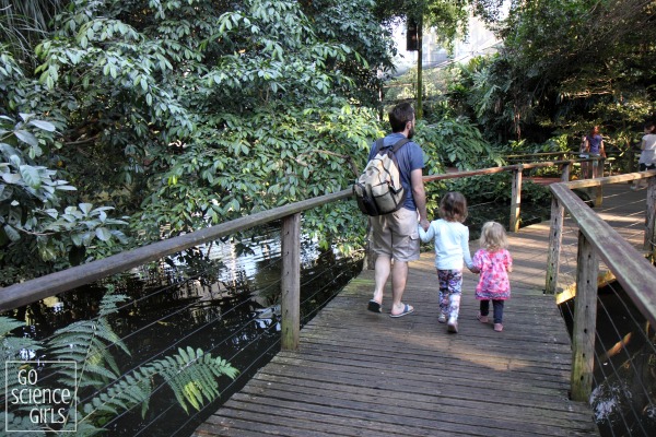 Wetlands boardwalk