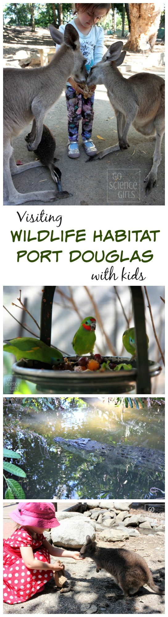 Wildlife Habitat Port Douglas - awesome way to incorporate science & nature when travelling with little kids in Australia's tropical north queensland