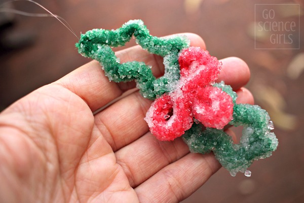 DIY crystal holly ornament from Borax and pipe cleaners