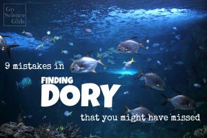 Finding Dory mistakes