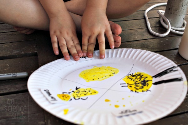 Sticking labels onto her paperplate ladybird lifecycle