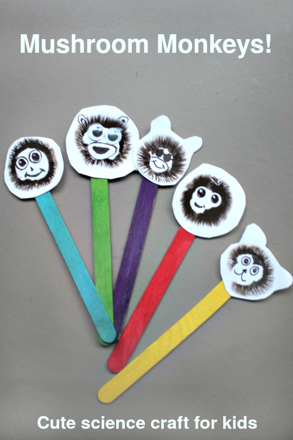 Mushroom monkeys! Cute science craft for kids, where kids can learn about mushroom biology and spore prints