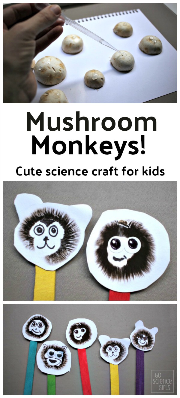 Mushroom monkeys! Cute science craft kids can make & learn about mushroom biology and spore prints