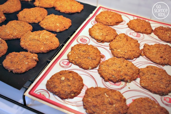 Anzac biscuits cooling on a rack