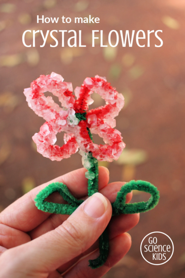 DIY Borax Crystal Flowers - Go Science Girls