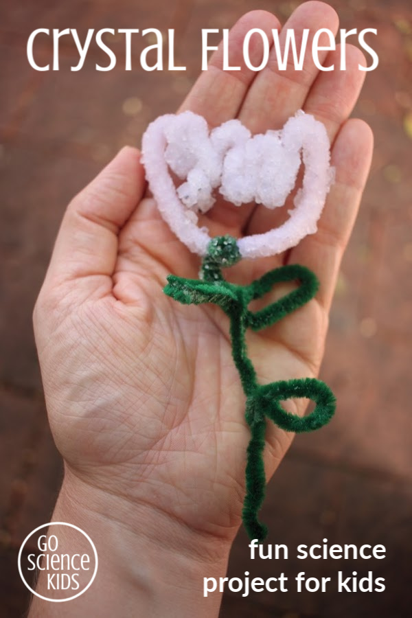 crystal flowers - fun science project for kids