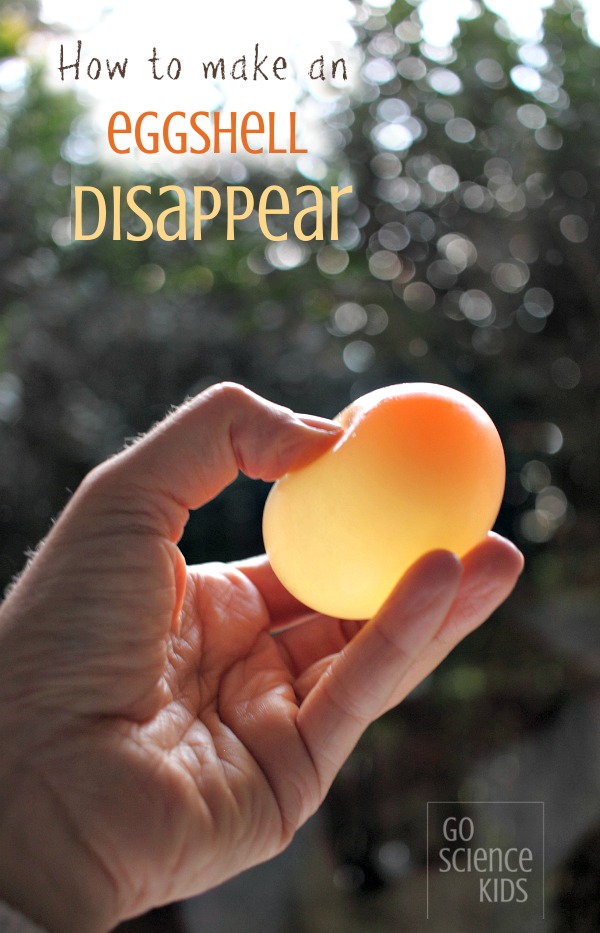 https://gosciencekids.com/wp-content/uploads/2015/08/How-to-make-an-eggshell-disappear-fun-kitchen-science-activity-for-kids.jpg