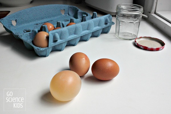 Bouncy Egg Experiment: Cool Science Experiment for Kids