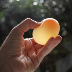 Can you dissolve the eggshell of a raw egg? – Go Science Kids