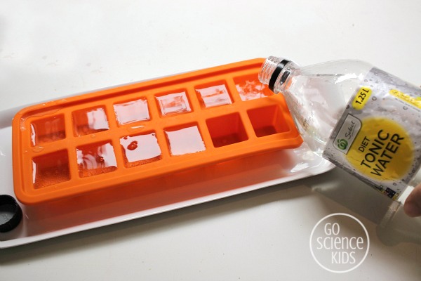 Doonly Ice Cube Tray: Lid and Bin Magic! 