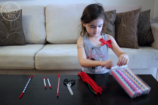 Paper straws and pipe cleaners