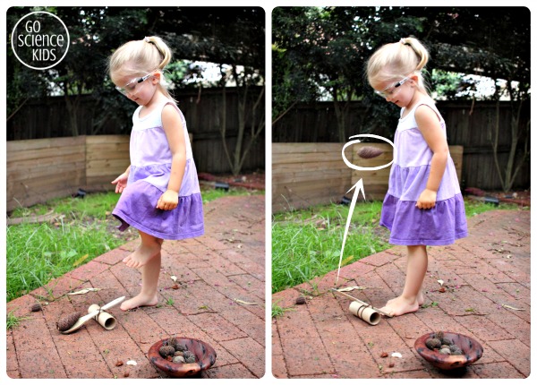 Playing with pinecones and a DIY catapult