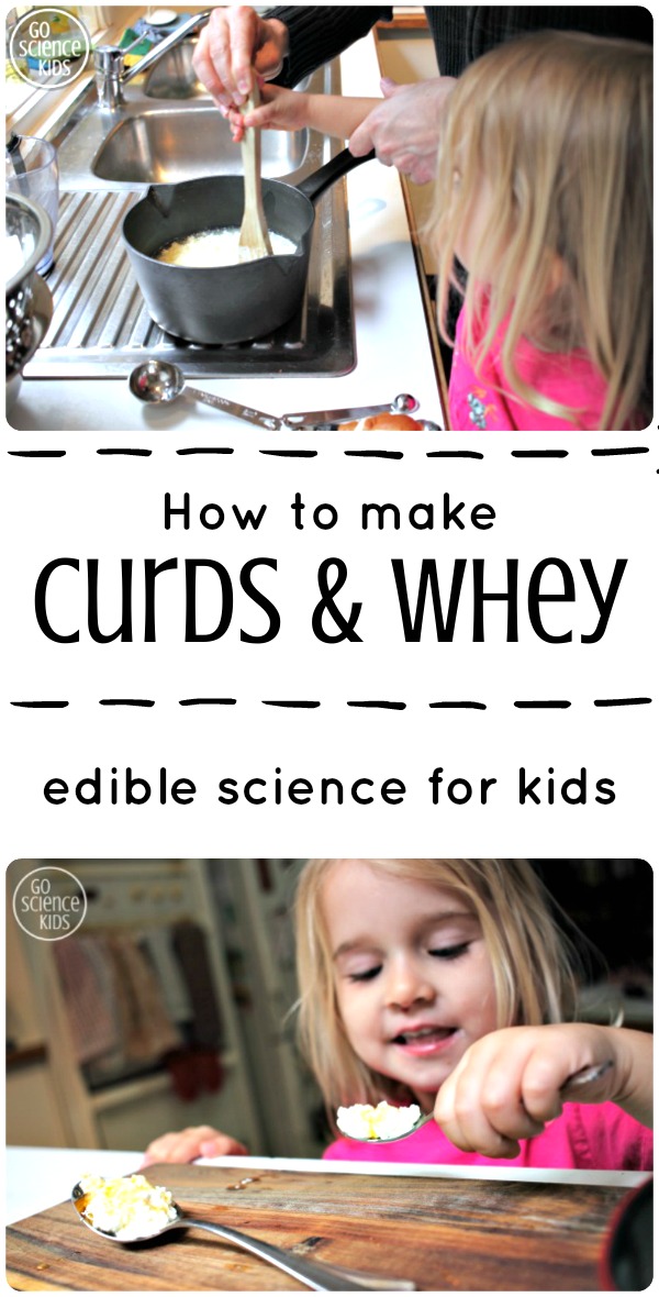 How to make Curds and Whey - edible science project for kids