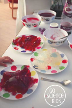 Jelly and gelatin science