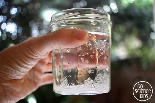 Borax crystals formed inside the jar