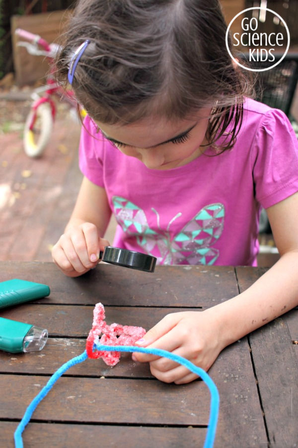 How To Make Heart-shaped Borax Crystals  Club Chica Circle - where crafty  is contagious