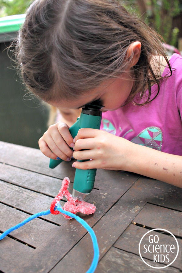 Examining borax crystals