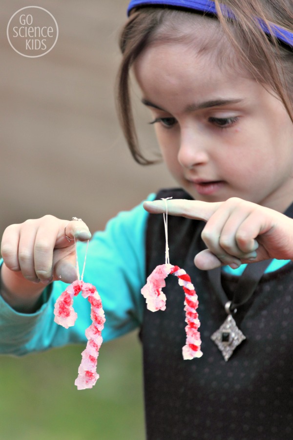 Crystal candy canes