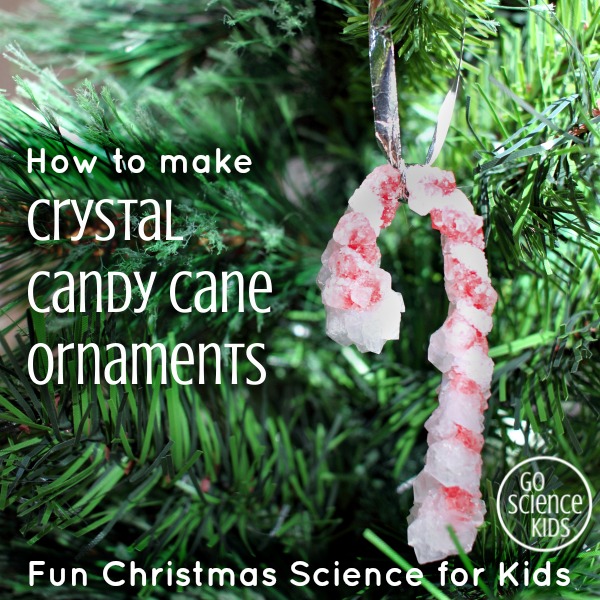 How to Make Borax Crystals Science Fun - About a Mom