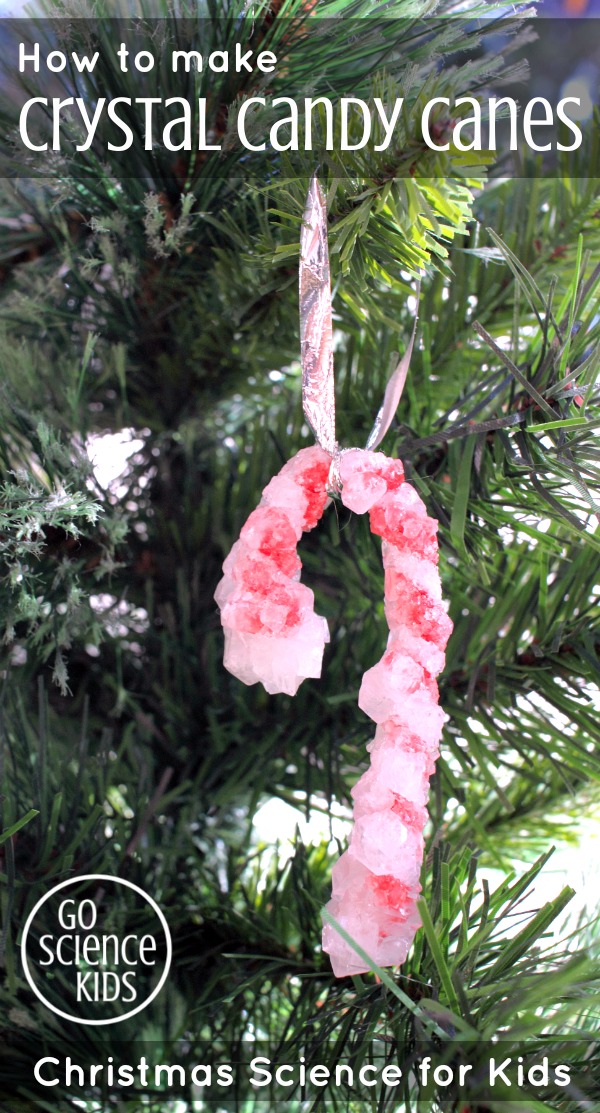 How to make Crystal Candy Canes - Christmas Science for Kids