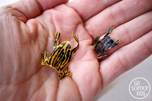 Corroboree frog leaf craft