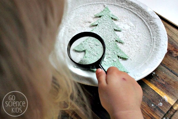 Examining the salt crystals