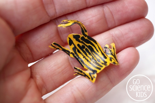 Southern corroboree frog leaf craft