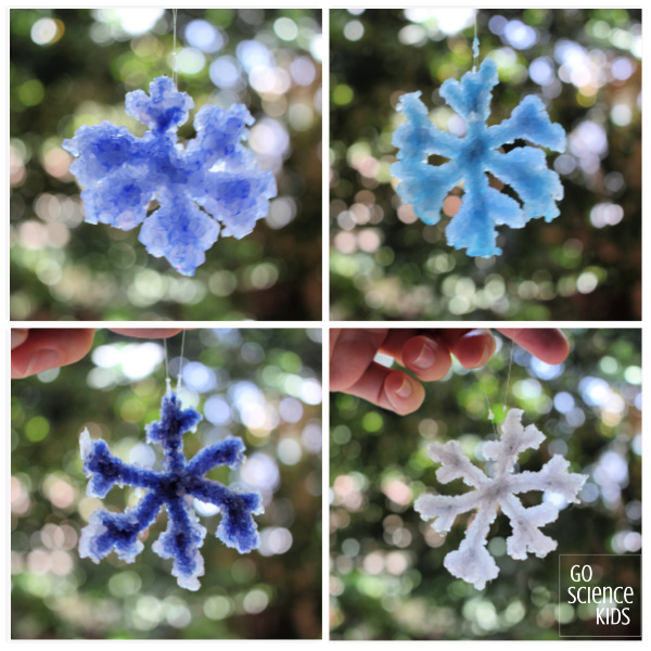 How to make the best Crystal Snowflakes – Go Science Kids