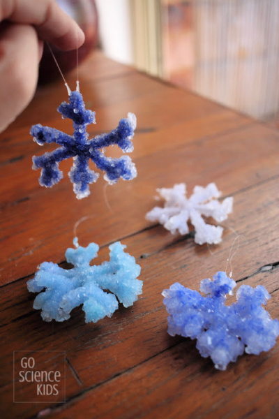 How to make the best Crystal Snowflakes – Go Science Kids