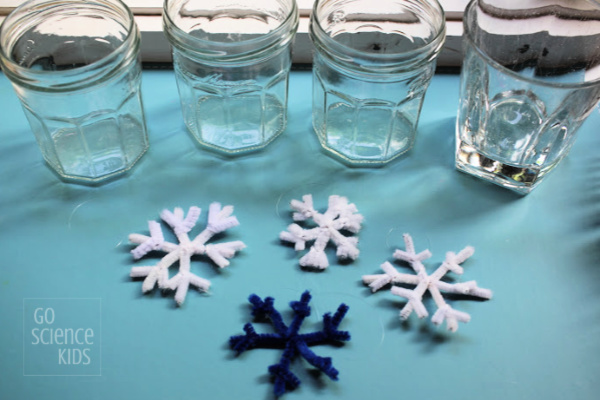 Borax Snowflake Crafts for Kids