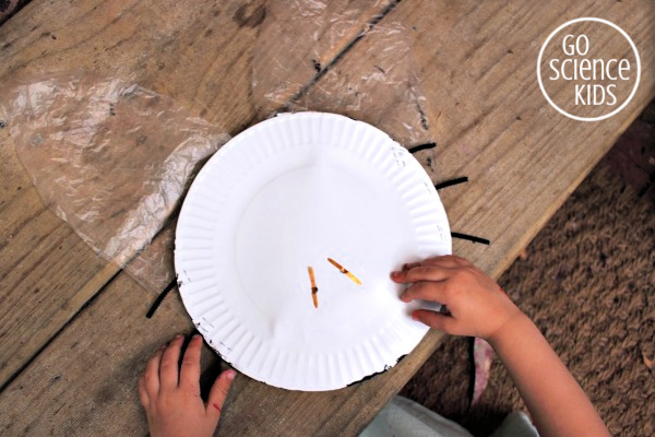 Paper plate ladybug craft