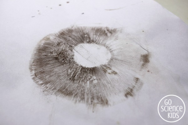 Biology for kids - making mushroom spore prints