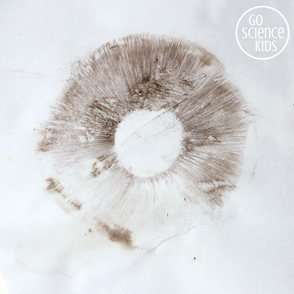 spore print mushroom