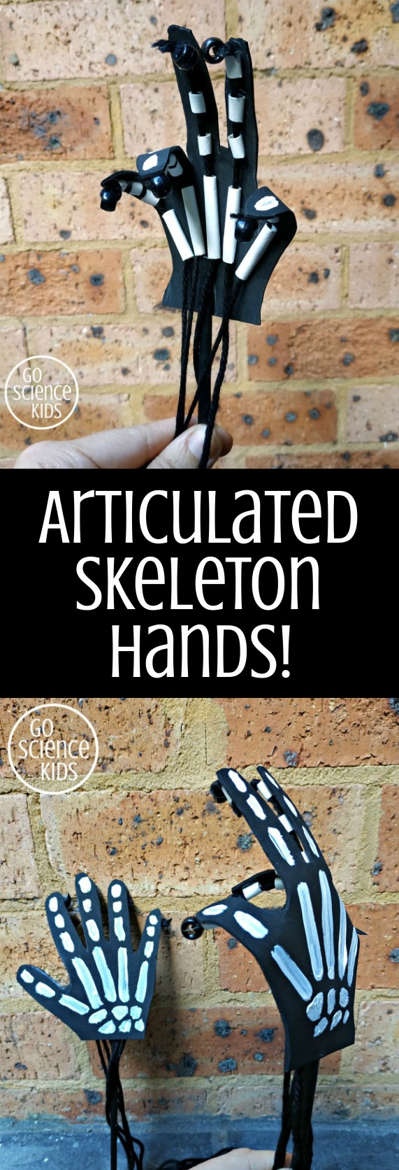 How to make a Skeleton Hand – Go Science Kids