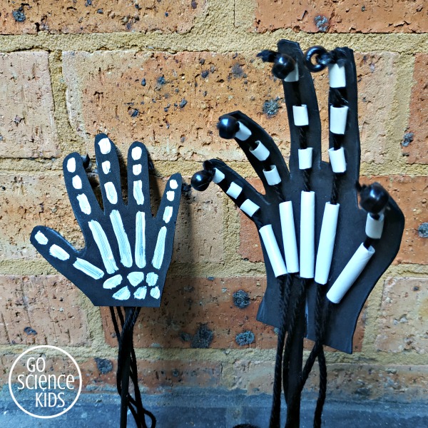 How to make a Skeleton Hand – Go Science Kids