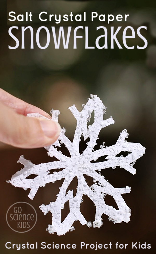 Salt Crystal Paper Snowflakes! – Go Science Kids