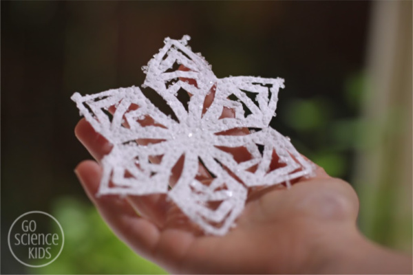 Salt Crystal Snowflakes 11