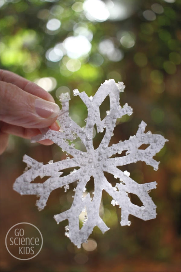 Salted Snowflake Craft for Preschoolers - Mrs V's Chickadees