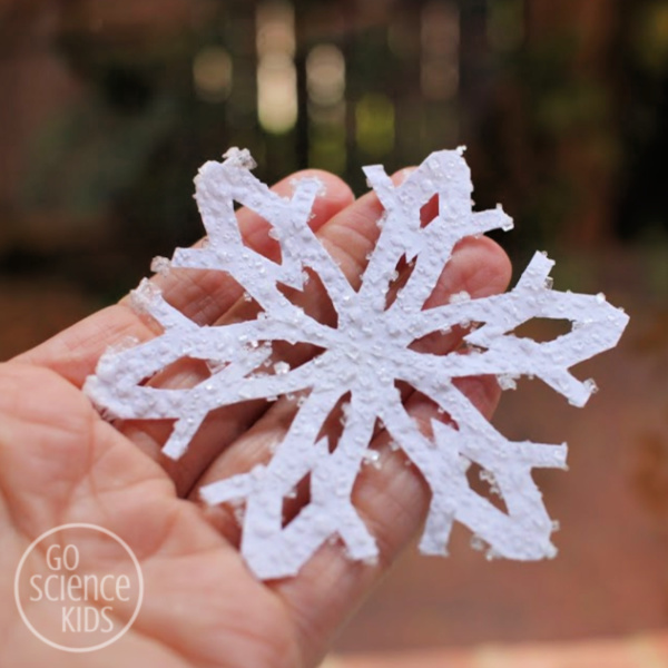 How to Make Borax Crystal Snowflakes in Minutes!