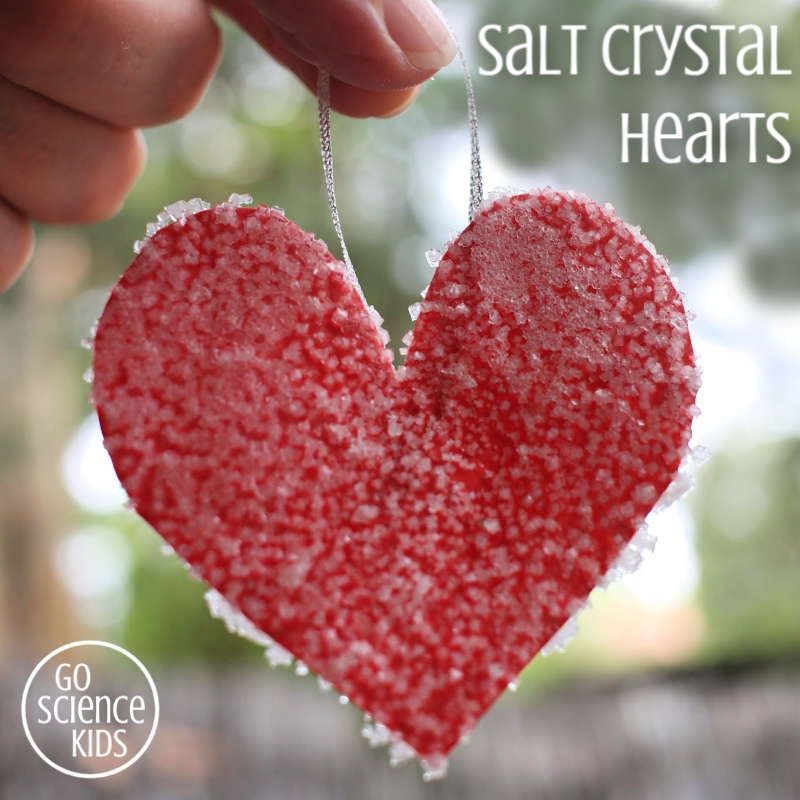 Salt Crystal Hearts – Go Science Kids