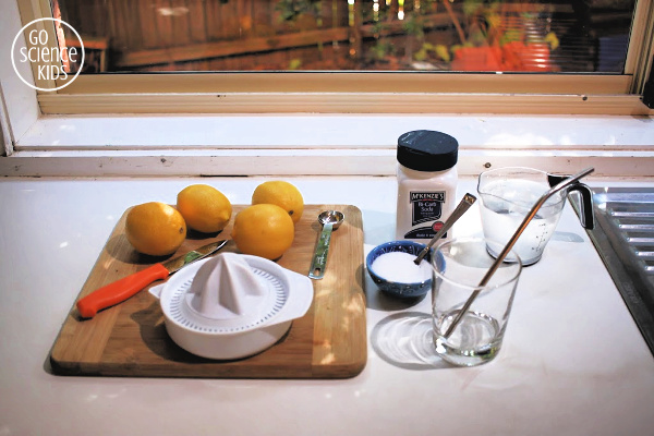 Ingredients to make lemonade