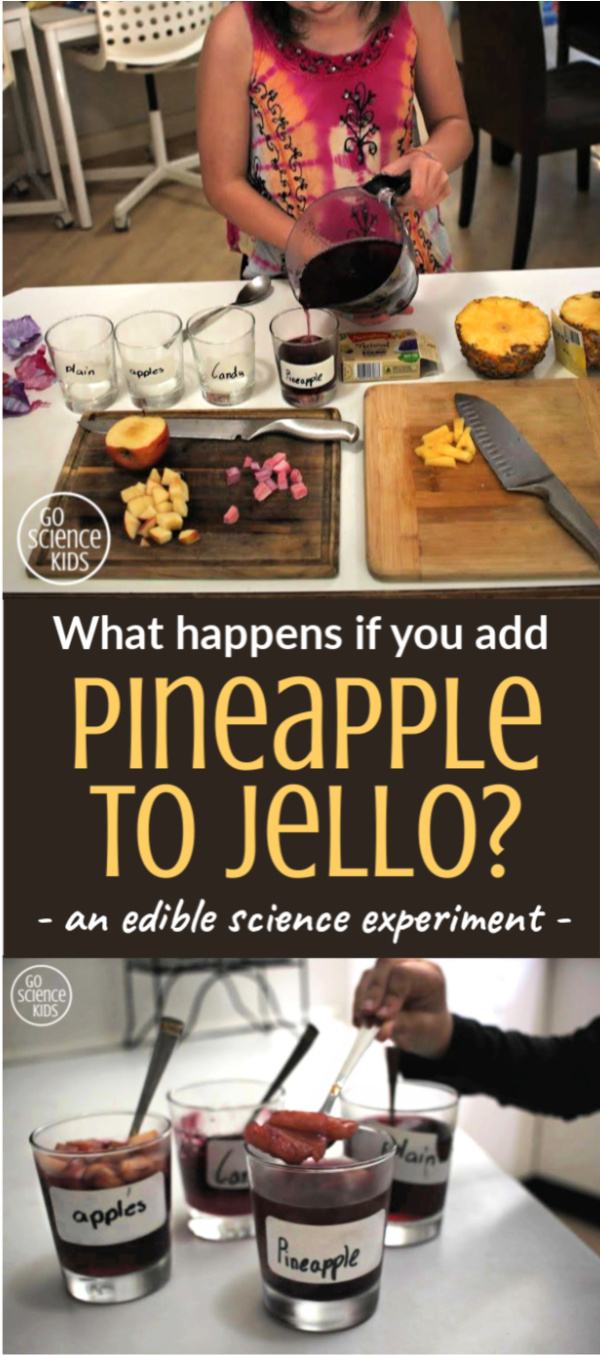 What happens if you add pineapple to Jello