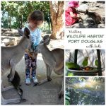 Tips for visiting Wildlife Habitat Port Douglas with little kids