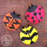 Paper plate ladybird (or ladybug) craft, including three different ladybird species. Fun nature science activity for kids