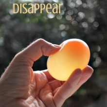 How to make an eggshell disappear - fun kitchen science activity for kids
